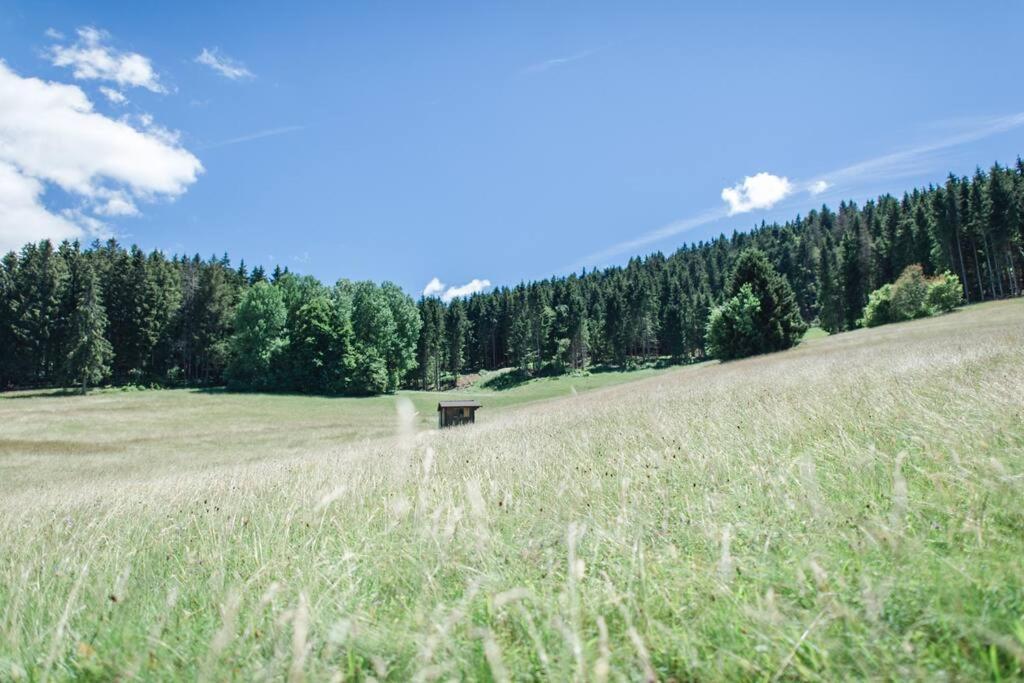 Ferienwohnung "Am Skilift" Herrischried Экстерьер фото