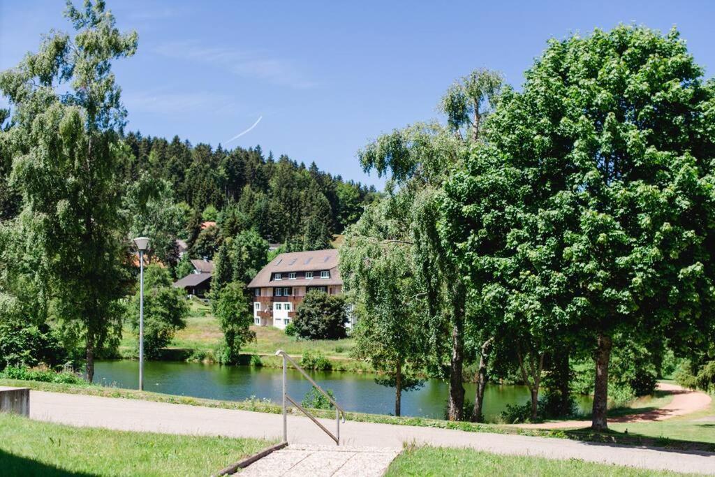 Ferienwohnung "Am Skilift" Herrischried Экстерьер фото