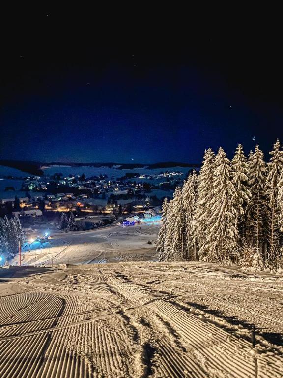 Ferienwohnung "Am Skilift" Herrischried Экстерьер фото